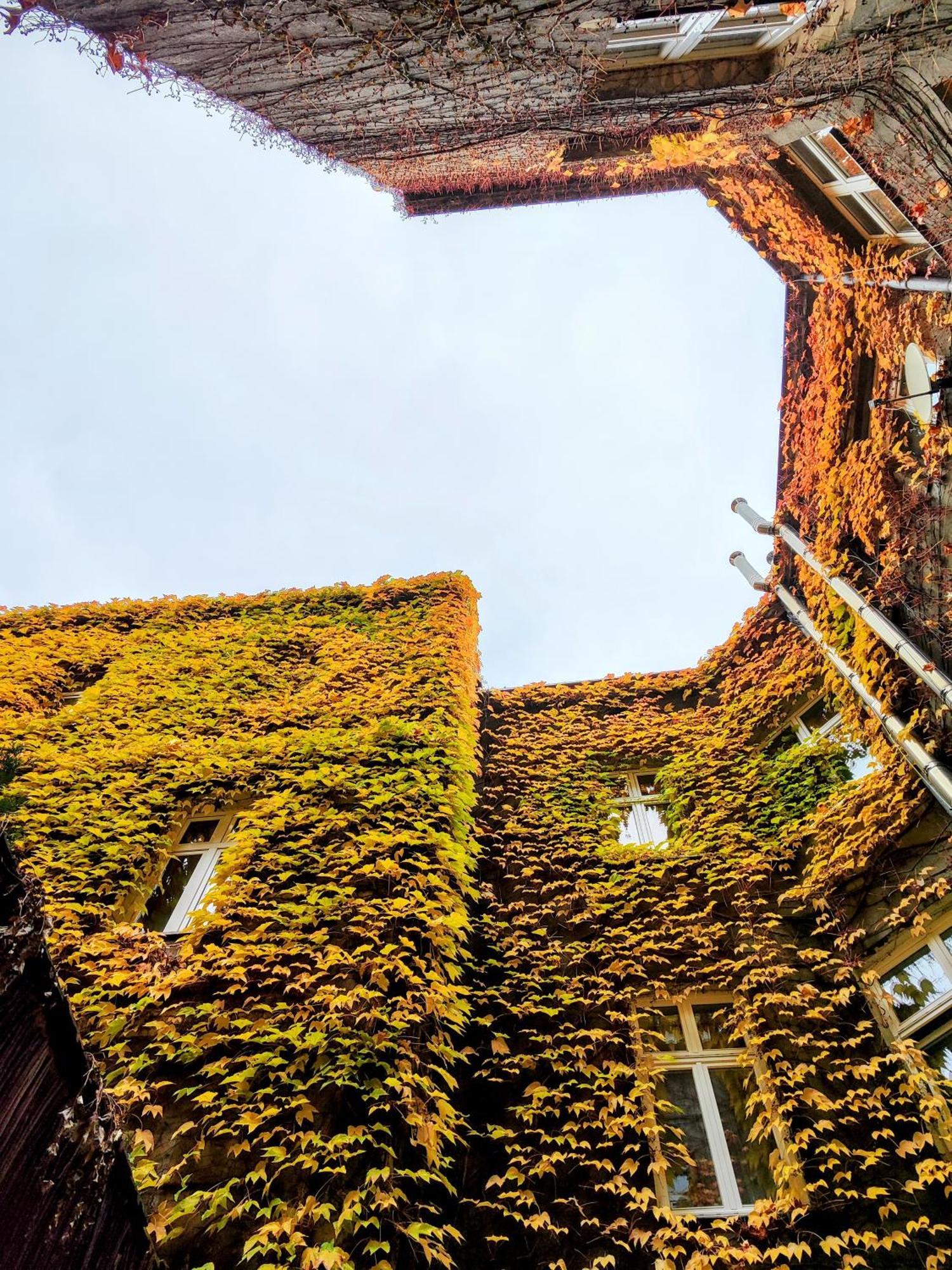 Z-1 Krakow Old Town O&P Apartfamily ภายนอก รูปภาพ